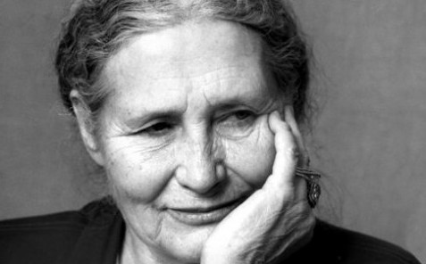 201311171555-800-dorislessing