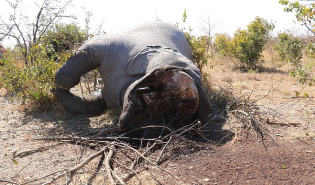 Screen-Shot-2018-08-04-at-15.09.12